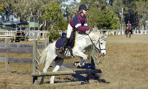 Mikhaela Roos competes at the Torbanlea sports ground where council staff recommended the removal of 16 trees to make way for an arena. Mikhaela Roos competes at the Torbanlea sports ground where council staff recommended the removal of 16 trees to make way for an arena.
